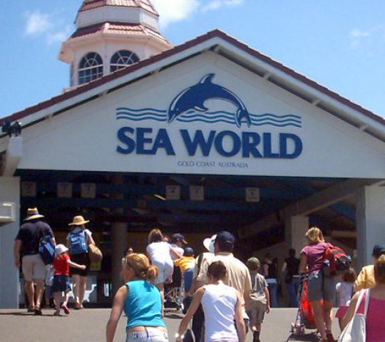 Seaworld Theme Park